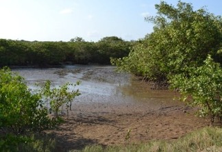 Cagepa garante que água do Rio Gramame se encontra nos padrões para uso