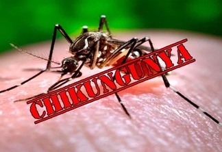Médica diz que chikungunya na PB é diferente de outros estados e situação preocupa