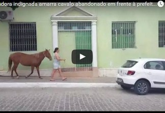 VEJA VÍDEO: Moradora indignada amarra cavalo abandonado em frente à prefeitura de Pocinhos
