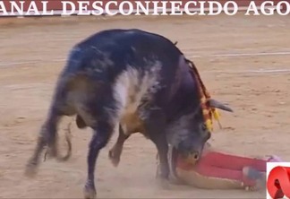 Toureiro profissional premiado é morto em tourada na Espanha - VEJA O VÍDEOS