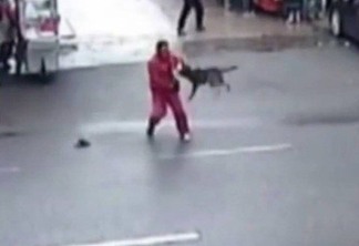 Cachorro enlouquecido ataca 23 pessoas e acaba morto pela polícia