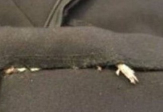 BIZARRO - Mulher encontra rato costurado em roupa comprada pela web