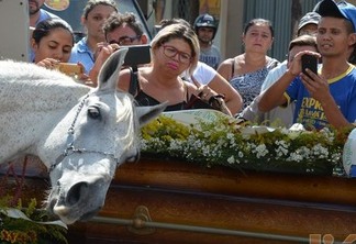 Dupla sertaneja faz sucesso com música e videoclipe em homenagem ao cavalo Sereno que chorou no velório do dono - VEJA VÍDEO