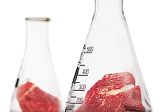 Cientistas avançam em pesquisa para produzir carne sem abate animal
