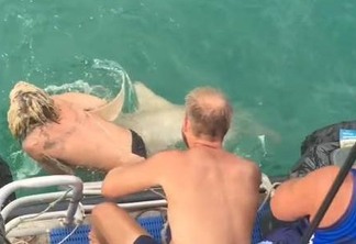 Jovem tentar 'domar' tubarão com corda e leva mordida - VEJA VÍDEO