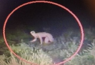 População de Brejo do Cruz relata aparição de criatura desconhecida na cidade