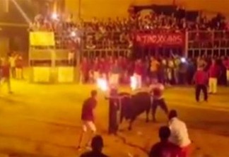 VEJA VÍDEO: Touro com chifres em chamas “se suicida” em festival na Espanha