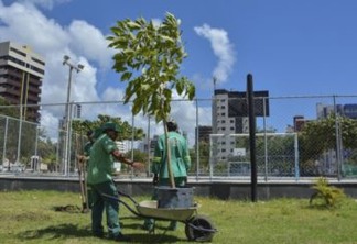 Prefeitura de João Pessoa faz replantio de árvores nativas