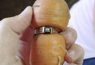 Anel de diamante perdido há 13 anos é encontrado em cenoura