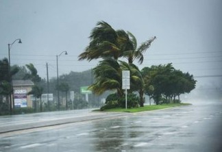 VEJA VÍDEO: Paraibana residente na Flórida mostra chegada do furacão