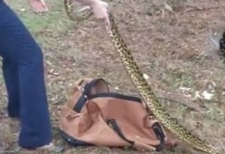 VEJA VÍDEO: Policial captura anaconda de 2,7 metros com as mãos
