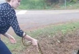 VEJA VÍDEO: Policial captura cobra com mais de 2 metros de comprimento