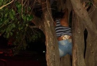 Mulher fica presa em árvore ao tentar entrar na casa do ex