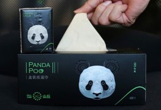 Empresa chinesa transforma cocô de panda em lenço de papel