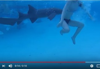 VEJA VÍDEO: Marido filma esposa sendo atacada por tubarão durante viagem de lua de mel