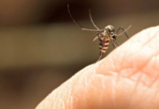 Começa Semana Nacional de Combate ao Aedes aegypti