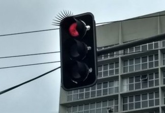 Instalação de cílios em semáforos de Curitiba é criticada na web
