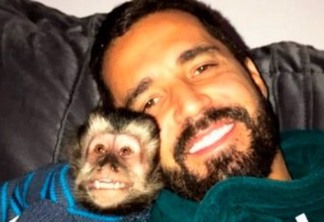 Depois de morte de Twelves, Latino ganha novo macaco-prego