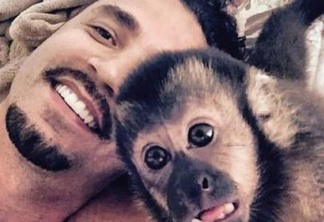 Latino está de luto: Twelves, seu macaco de estimação, morre atropelado no RJ