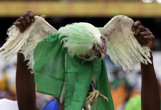 SEM SORTE: Torcida nigeriana é proibida de levar galinhas na estreia da Copa