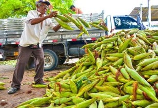 São João: comerciantes reclamam de baixa procura por milho em mercados