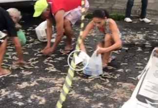 PETISCO GARANTIDO: Acidente entre ônibus e carro resulta em carga de camarão saqueada por população de João Pessoa - VEJA VÍDEOS