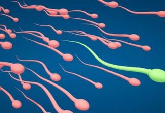 Cientistas criam espermatozóide a partir de célula feminina