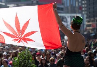 Canadá é o 2º país do mundo a legalizar a maconha para fins recreativos