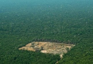 Bolsonaro quer entregar a Amazônia - Por Eliane Brum