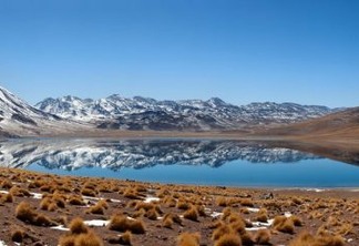 Após 500 anos, choveu no deserto do Atacama – mas teria sido melhor não: ENTENDA