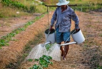 Região Nordeste perdeu 1 milhão de trabalhadores rurais de 2012 a 2017
