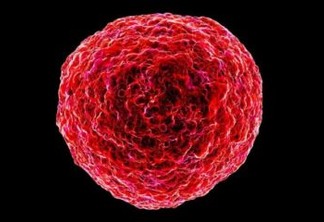Vírus pouco conhecido atinge mais de 800 mil