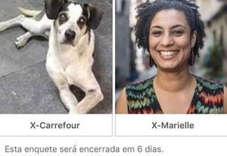 'Qual cadela fará mais falta?': apoiador de Bolsonaro compara Marielle Franco com cachorra morta no Carrefour