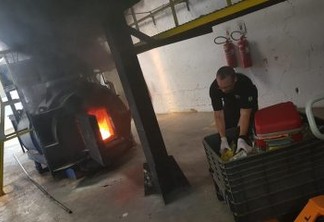 Polícia Federal queima 15 toneladas de drogas apreendidas no RN