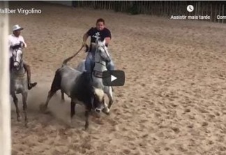 NÃO VALEU BOI: deputado paraibano pratica vaquejada e cai do cavalo - VEJA VÍDEO