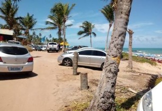 Márcia Lucena anuncia medidas emergenciais após vândalos arrancarem coqueiros recém-plantados em Conde