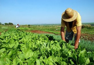 MPF quer punição para mercado ilegal de lotes da reforma agrária em assentamento na Paraíba
