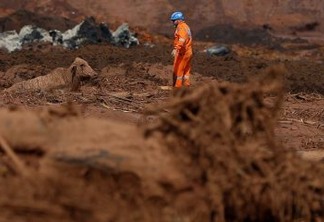 Um boi é visto na lama depois do rompimento de barragem de rejeitos de minério de ferro de propriedade da mineradora Vale, em Brumadinho (MG).