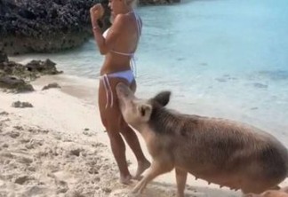 Modelo é mordida por porco ao posar em ponto turístico - VEJA VÍDEO