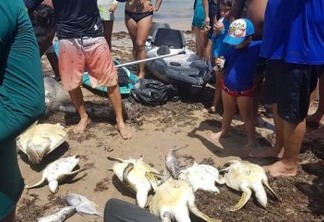 PROTEÇÃO AMBIENTAL: Governo estuda proibir rede de pesca de Cabedelo ao Seixas