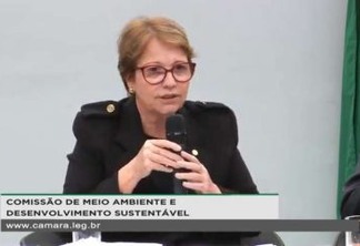 Ministra da agricultura diz que 'brasileiro não passa muita fome porque tem muita manga nas cidades'