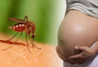 STF deve votar em maio a liberação do aborto por grávidas com vírus Zika
