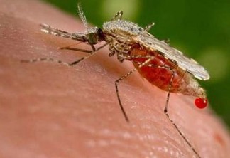 Profissionais da saúde de Conde participam de capacitação sobre a malária