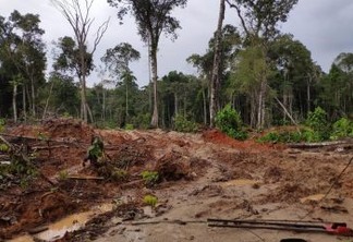 CORRUPÇÃO: Operação em 8 estados e no DF mira esquema de desmatamento ilegal na Amazônia