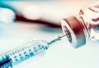 Vacina contra vírus chikungunya já passa por testes em humanos