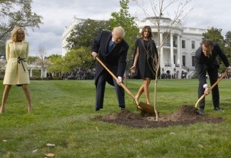 Árvore plantada por Trump e Macron como sinal de amizade morreu
