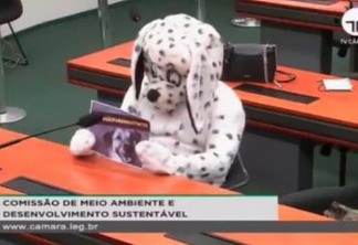 Homem vestido de cachorro protesta em sessão da Câmara dos Deputados - VEJA VÍDEO