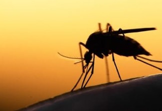 Hospital Universitário Lauro Wanderley registra 16º caso de malária 