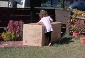 Criança de 2 anos compra sofá de mais de R$ 1.600 pelo celular da mãe
