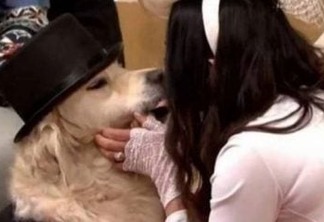 CASAMENTO ANIMAL: Após relacionamentos mal-sucedidos ex-modelo britânica decide casar com o próprio cachorro - VEJA VÍDEO